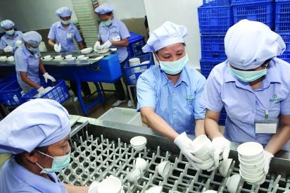 鸿旭餐具清洗消毒设备